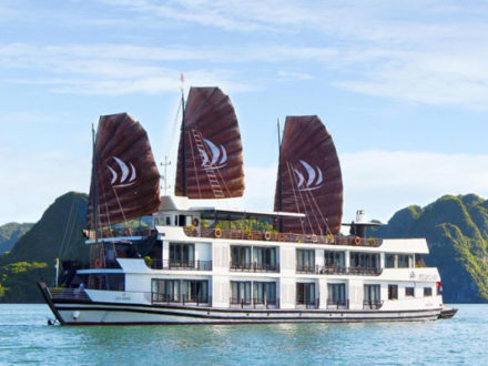 halong bay boat tours pelican cruise 9