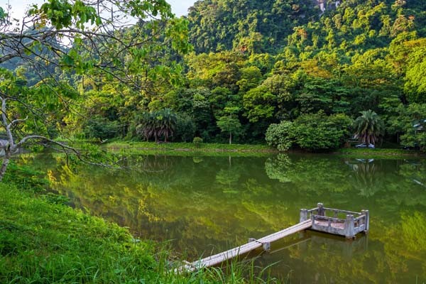 Cuc Phuong National Park (9)