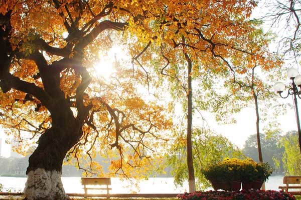 travel hanoi hoan kiem lake