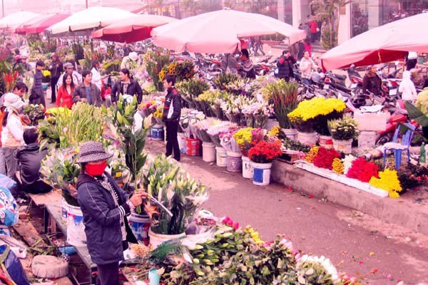 travel hanoi nghi tam flower market