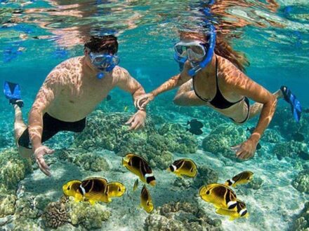 Cham Island Sightseeing And Snorkeling Tour