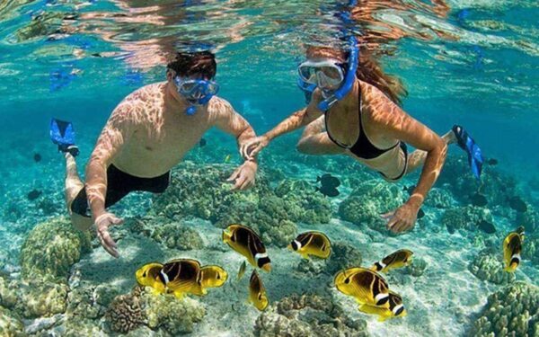 Cham Island Sightseeing And Snorkeling Tour