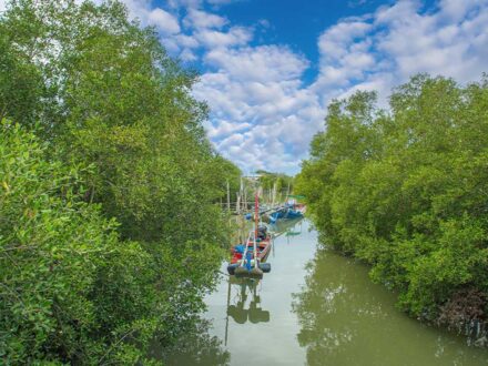 Can Gio Biosphere And Monkey Island Tour