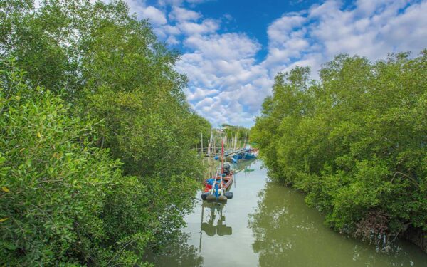 Can Gio Biosphere And Monkey Island Tour